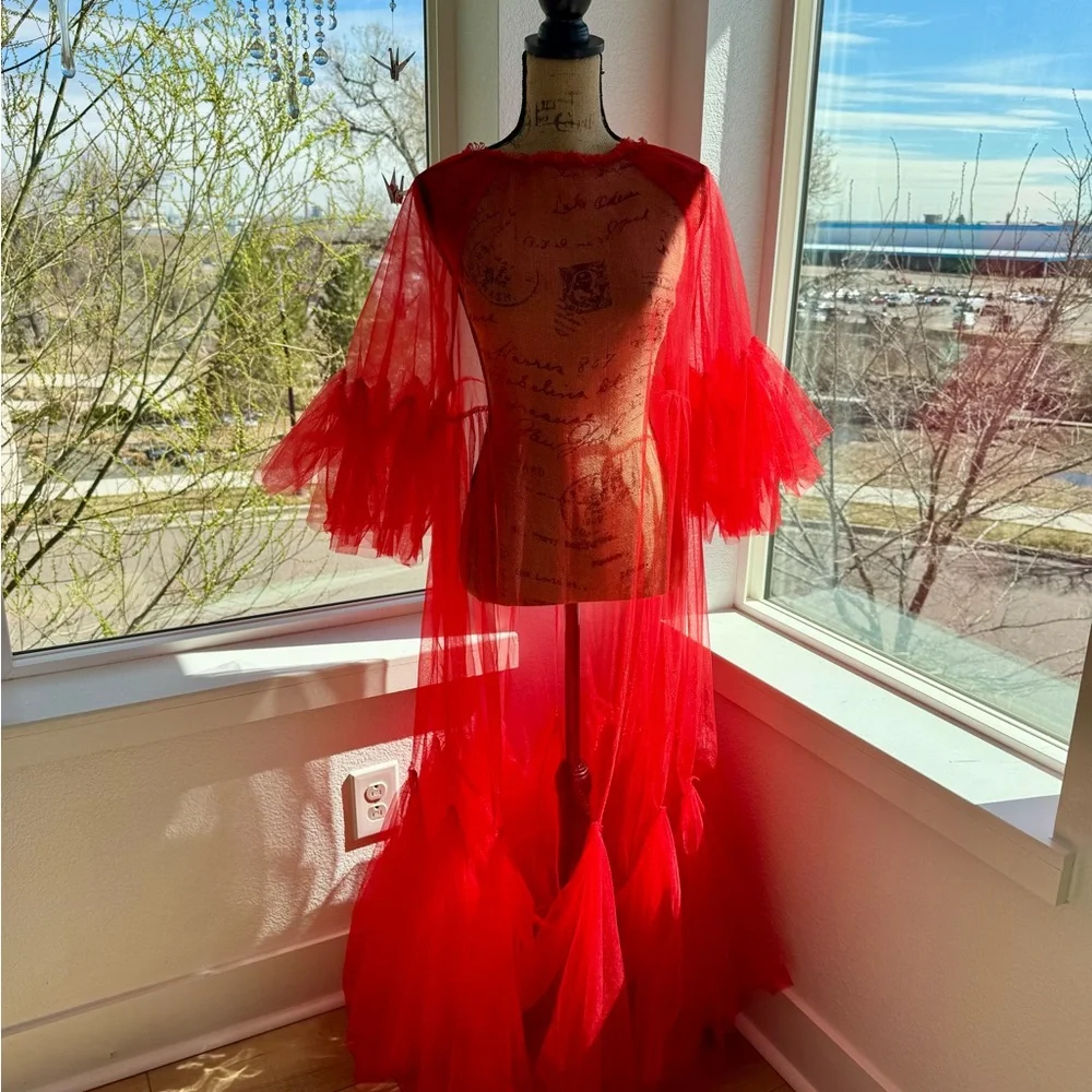 Red Sheer Tulle Gown with Dramatic Sleeves - Picture 2 of 6